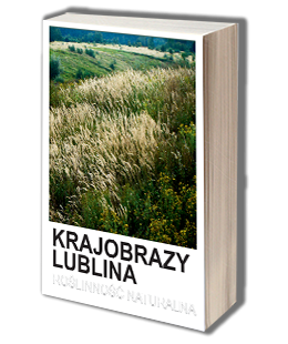Krajobrazy Lublina....